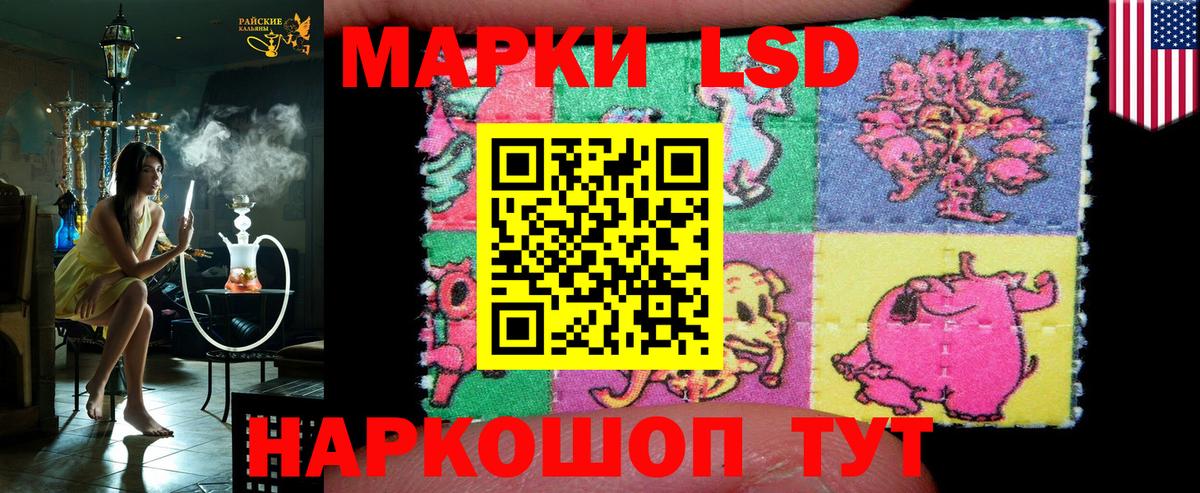 Миасс  Марки NBOMe  хочу наркоту  Марки NBOMe 1,8мг  Вход с VPN 