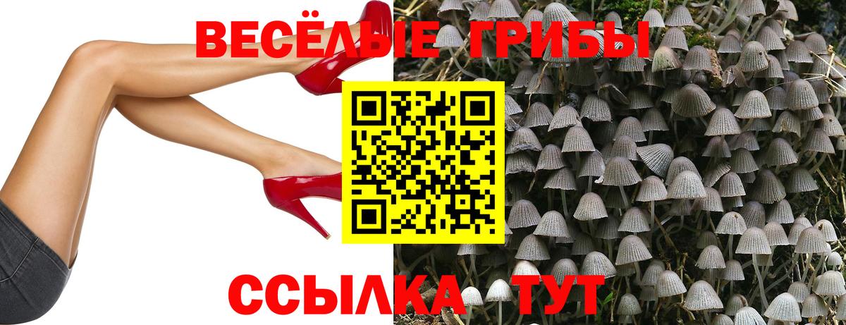 Псилоцибиновые грибы мицелий Миасс